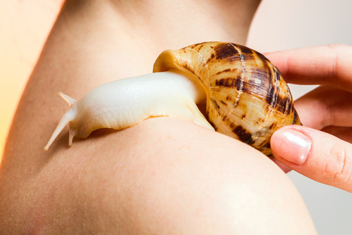 Snail Cream Shop - buy snail products - snail cosmetics - snail cream