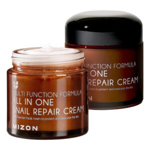 Mizon All In One Snail Repair Cream 75ml | Recovery Cream, Korean Skincare, Wrinkle & Blemish Care